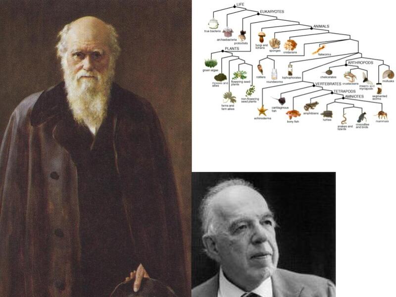 In all these respects, the Darwinian paradigm thus meshes smoothly with the s…