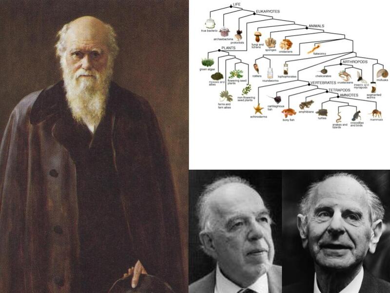 Popper’s extensive and influential work on the epistemology of science emphas…